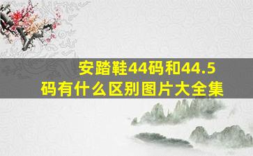 安踏鞋44码和44.5码有什么区别图片大全集