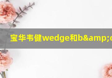 宝华韦健wedge和b&osound2