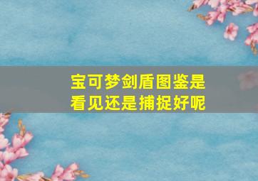 宝可梦剑盾图鉴是看见还是捕捉好呢