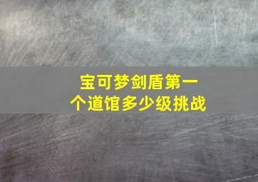 宝可梦剑盾第一个道馆多少级挑战