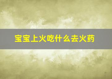 宝宝上火吃什么去火药