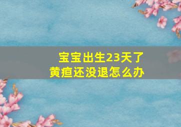 宝宝出生23天了黄疸还没退怎么办