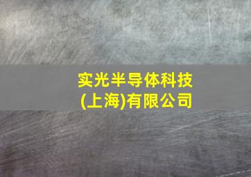 实光半导体科技(上海)有限公司