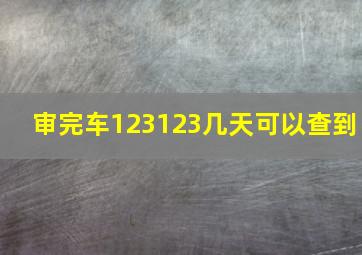 审完车123123几天可以查到