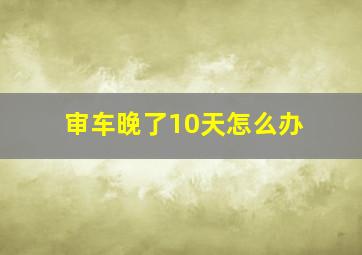 审车晚了10天怎么办