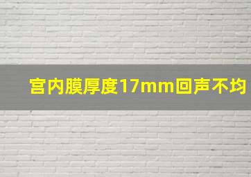 宫内膜厚度17mm回声不均