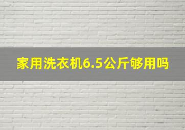 家用洗衣机6.5公斤够用吗