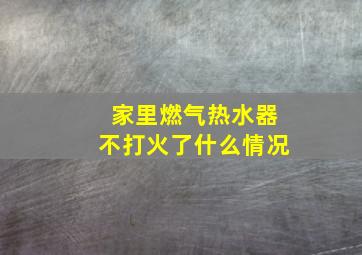 家里燃气热水器不打火了什么情况