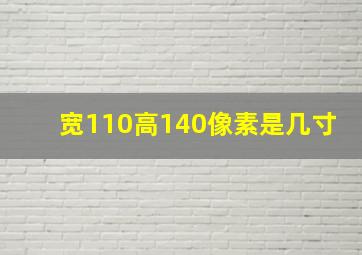 宽110高140像素是几寸