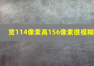 宽114像素高156像素很模糊