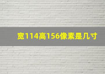 宽114高156像素是几寸