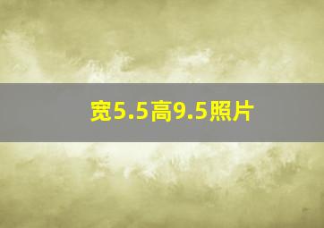 宽5.5高9.5照片