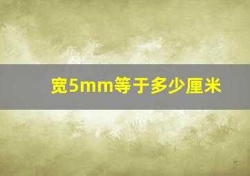 宽5mm等于多少厘米