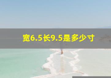 宽6.5长9.5是多少寸