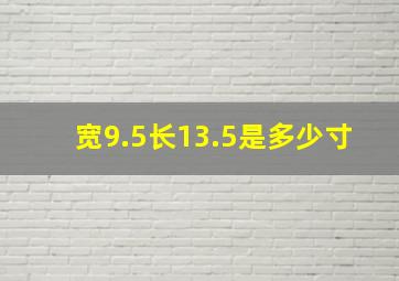 宽9.5长13.5是多少寸