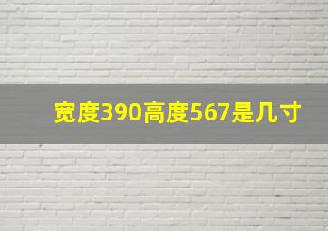 宽度390高度567是几寸