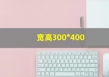 宽高300*400