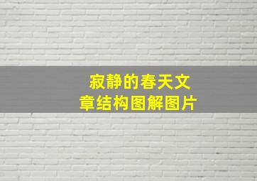 寂静的春天文章结构图解图片