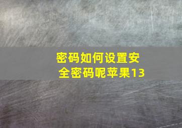 密码如何设置安全密码呢苹果13