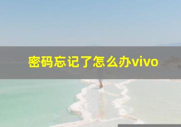 密码忘记了怎么办vivo