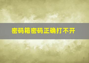 密码箱密码正确打不开