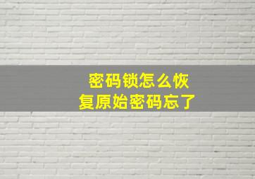 密码锁怎么恢复原始密码忘了