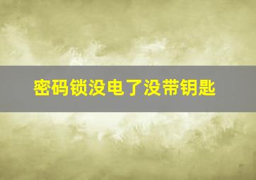 密码锁没电了没带钥匙