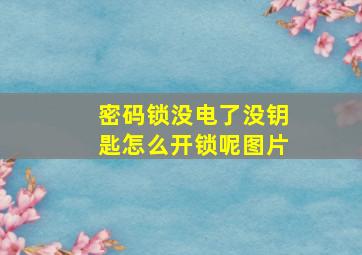 密码锁没电了没钥匙怎么开锁呢图片