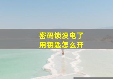 密码锁没电了用钥匙怎么开