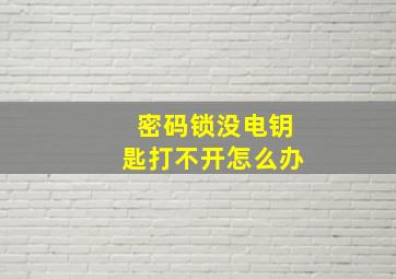 密码锁没电钥匙打不开怎么办