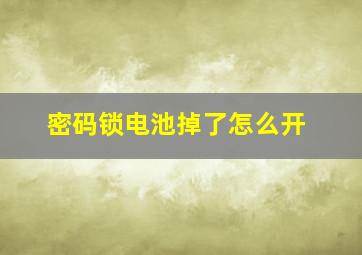 密码锁电池掉了怎么开