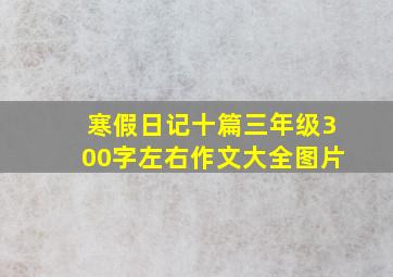 寒假日记十篇三年级300字左右作文大全图片