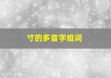 寸的多音字组词