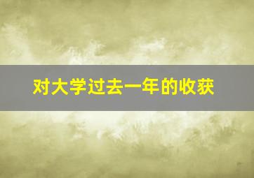 对大学过去一年的收获