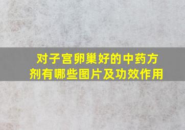 对子宫卵巢好的中药方剂有哪些图片及功效作用