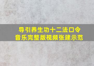 导引养生功十二法口令音乐完整版视频张建示范