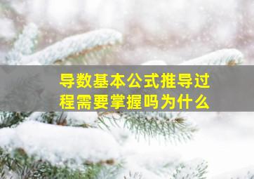 导数基本公式推导过程需要掌握吗为什么