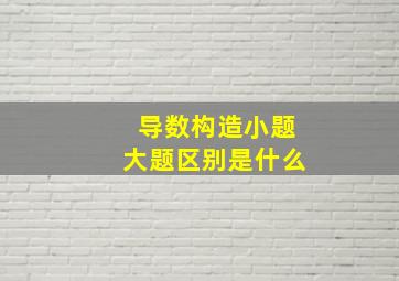 导数构造小题大题区别是什么