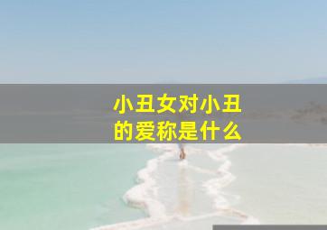 小丑女对小丑的爱称是什么