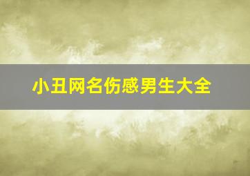 小丑网名伤感男生大全