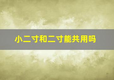 小二寸和二寸能共用吗