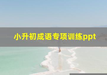 小升初成语专项训练ppt