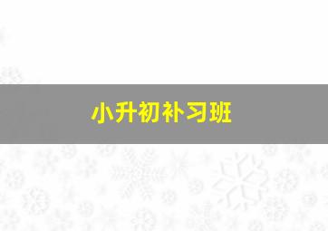 小升初补习班