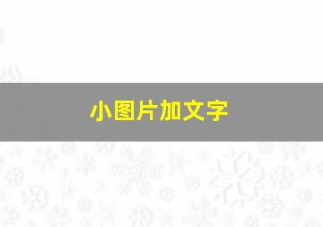 小图片加文字