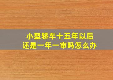 小型轿车十五年以后还是一年一审吗怎么办