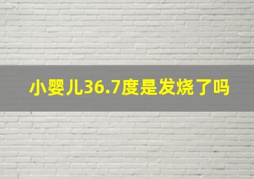 小婴儿36.7度是发烧了吗