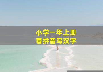 小学一年上册看拼音写汉字