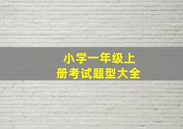 小学一年级上册考试题型大全