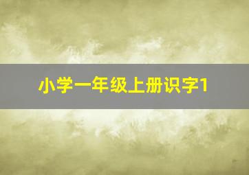 小学一年级上册识字1