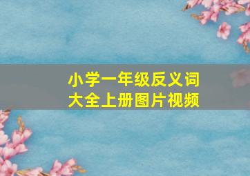 小学一年级反义词大全上册图片视频